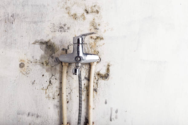 Home Mold Removal in College Park, GA