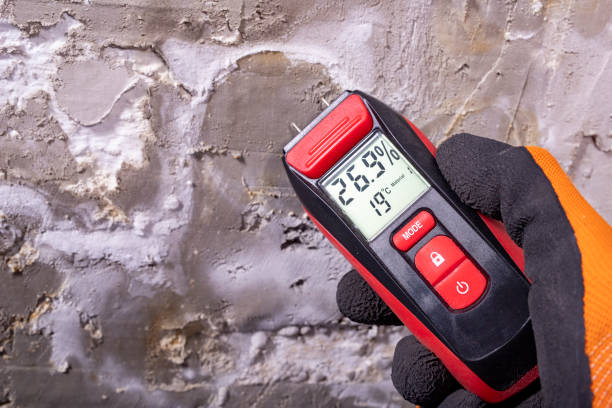 Mold Removal Process in College Park, GA