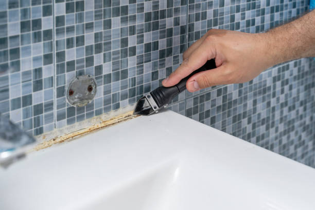 Best Commercial Mold Removal  in College Park, GA