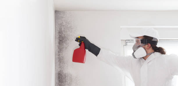 Certified Mold Removal in College Park, GA